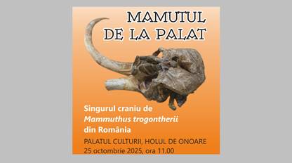 HAI si TU sa vezi…  MAMUTUL de la Palat!